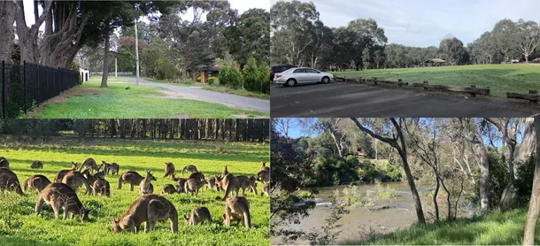 Pest Control Services Templestowe